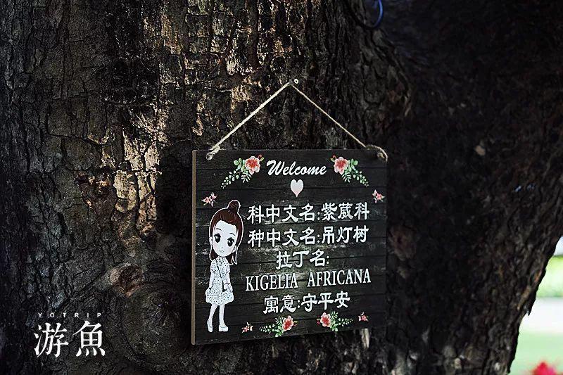 发现子宫内膜息肉需要手术吗？